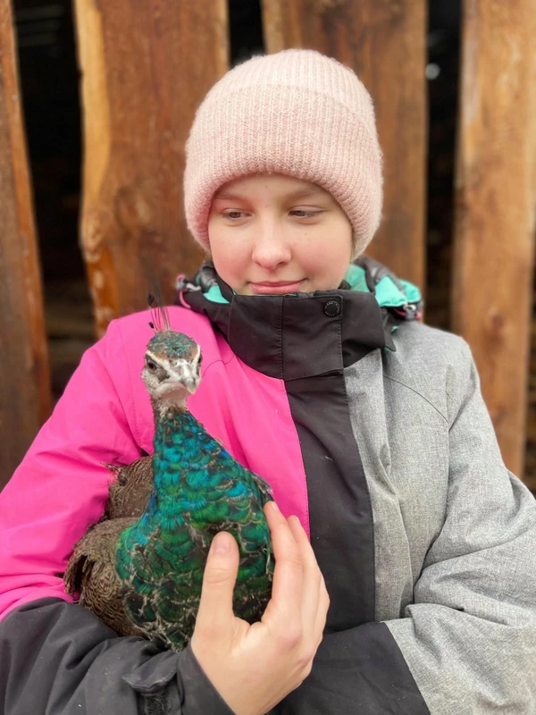 Агроэкскурсия на ферму и мастер-класс с перьями павлина