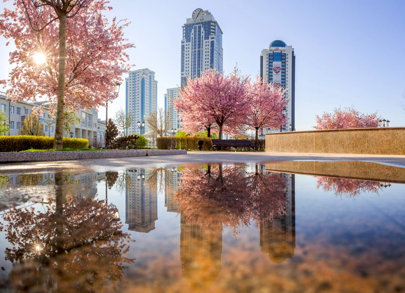 Грозный, Аргун, Шали: поездка в Чечню из Ессентуков – групповая экскурсия