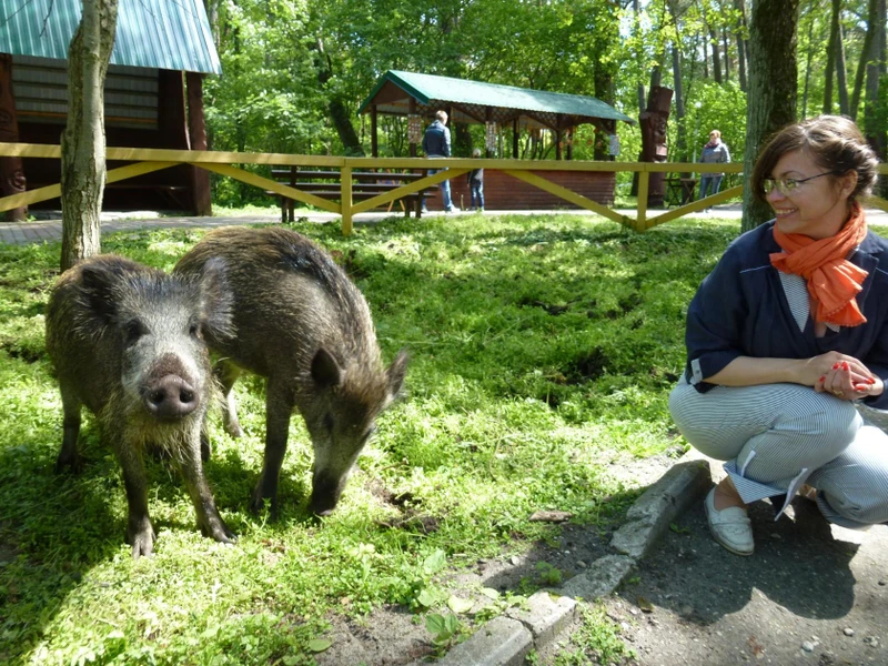 Куршская коса для детей и взрослых – индивидуальная экскурсия