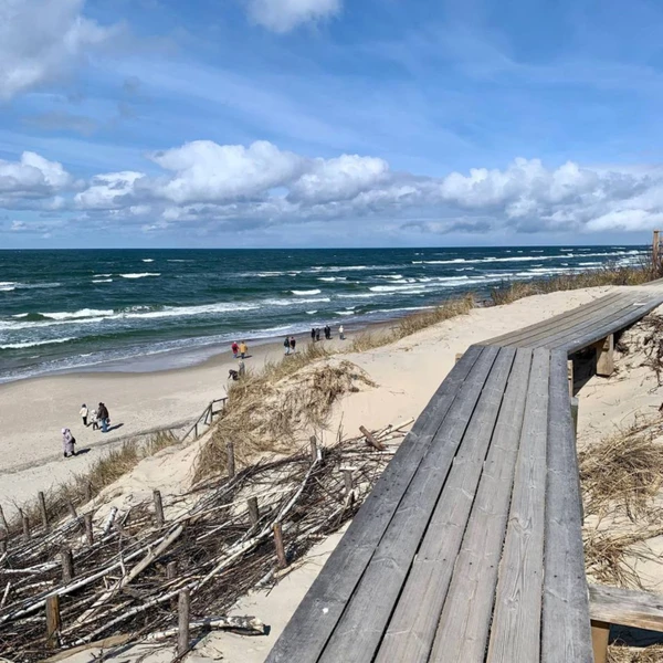 Загадки и чудеса Куршской косы – групповая экскурсия