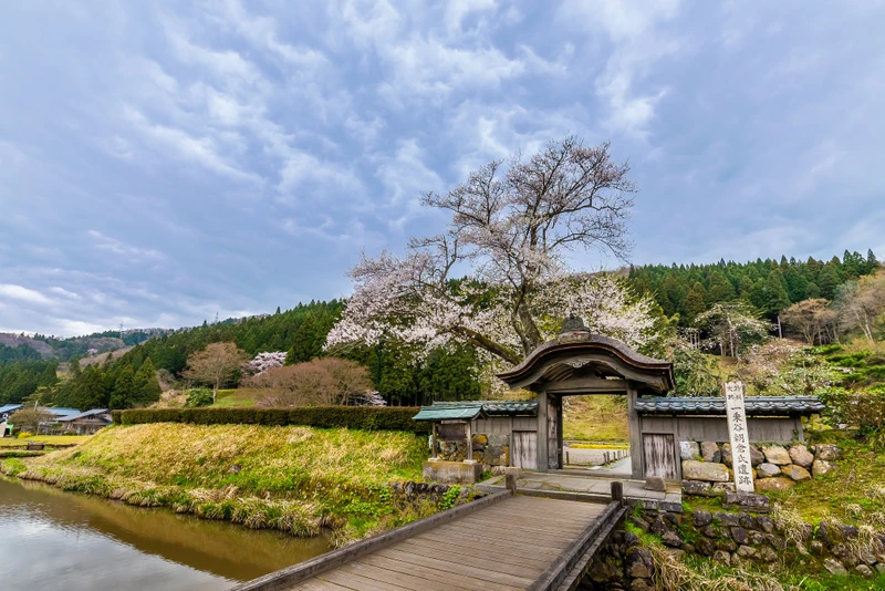 Из Токио — на Фукуи, в край самураев, дзэн-буддизма и невероятных пейзажей – индивидуальная экскурсия
