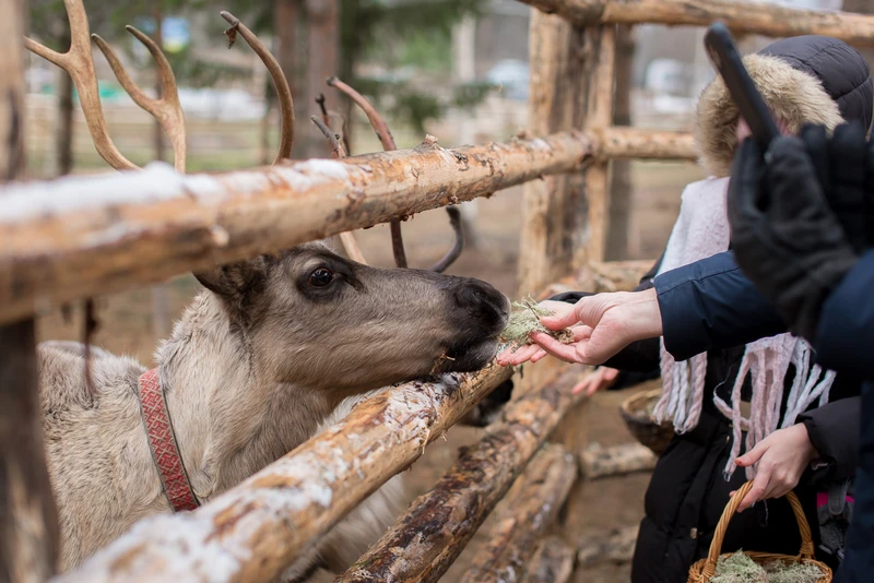Есть контакт! Психологический выезд для родителей и подростков. Всё включено – авторский тур