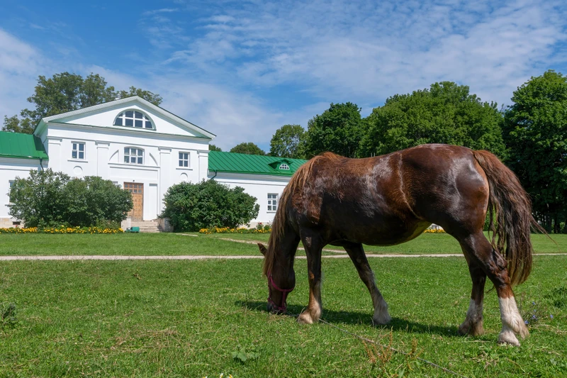 По стопам Льва Толстого: из Тулы в Ясную Поляну – индивидуальная экскурсия