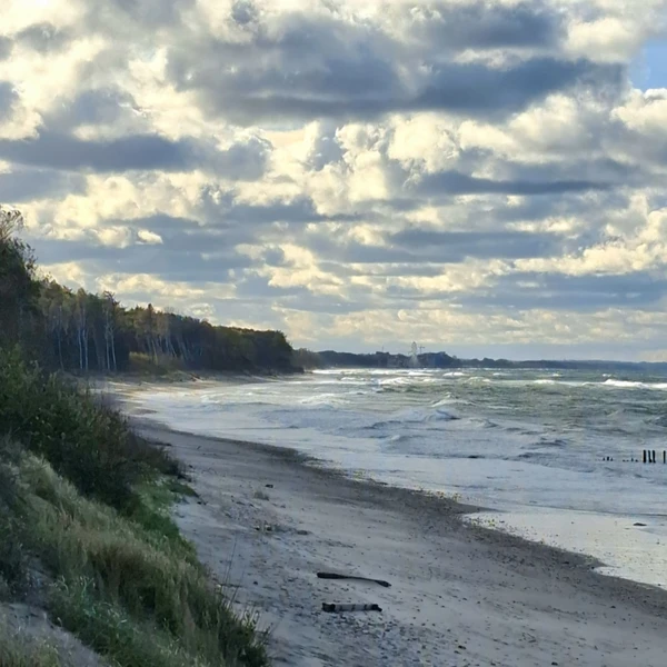 Первый раз на Куршской косе — из Зеленоградска – индивидуальная экскурсия