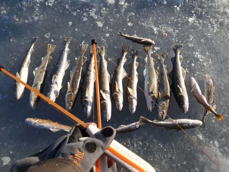 Подлёдная рыбалка во Владивостоке – индивидуальная экскурсия