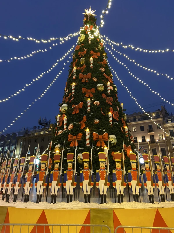 Новогодний романтический Петербург на Mercedes: днём или ночью – индивидуальная экскурсия