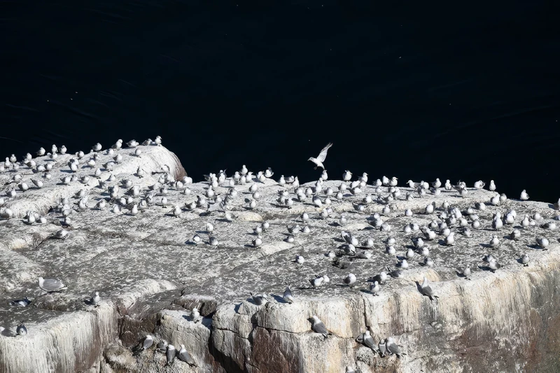 Териберка — море впечатлений – групповая экскурсия