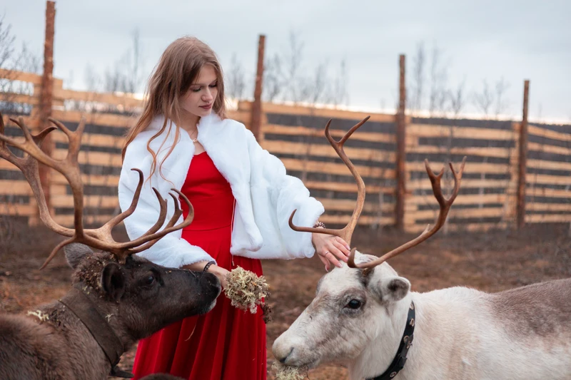 Из Мурманска — в тундру – групповая экскурсия