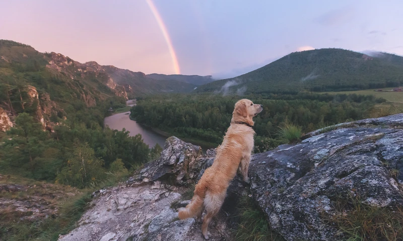 Активные выходные в Хакасии: сплав по Белому Июсу, треккинг по Тогыз-Аз, баня – авторский тур