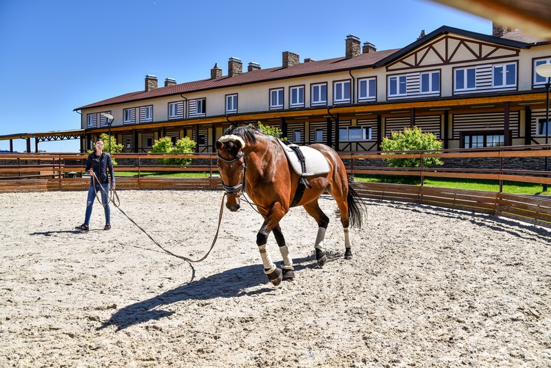 Танки, кони, звери: обзорная экскурсия по конному клубу и чаепитие (из Звенигорода)