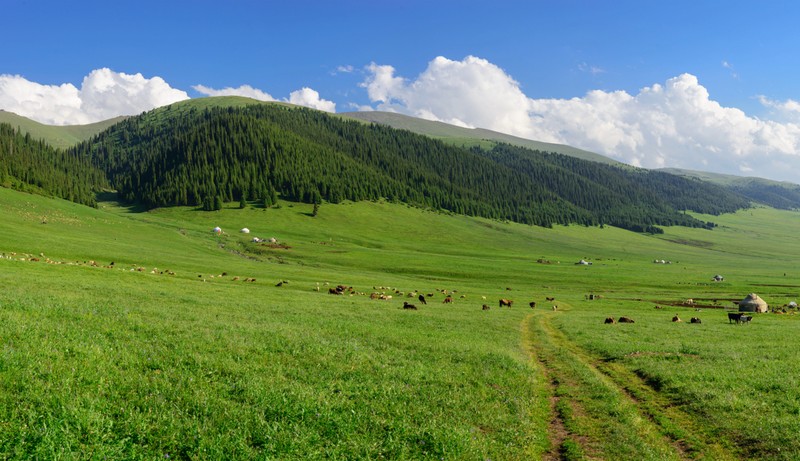 Плато Асы и водопад Аюлы: групповая экскурсия