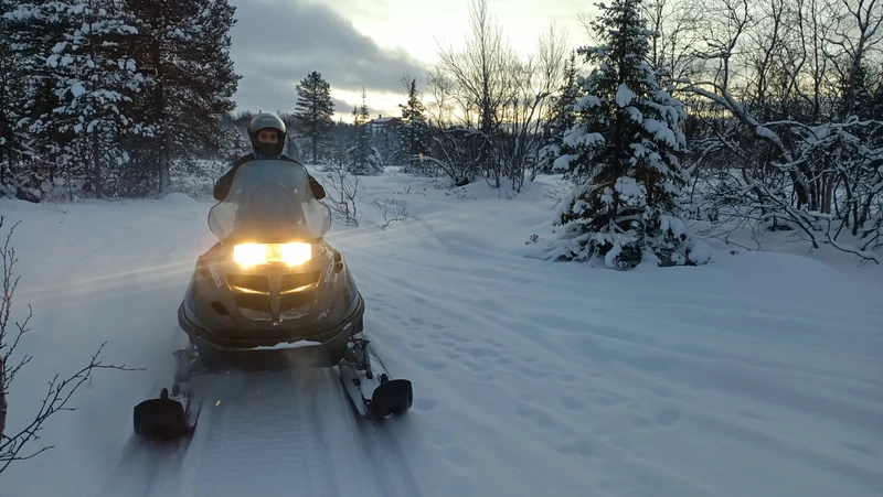 Снегоходные прогулки в лесу под Мурманском – групповая экскурсия
