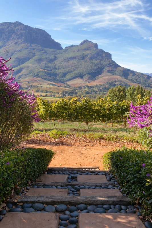 Из Кейптауна — в сердце винных долин – индивидуальная экскурсия