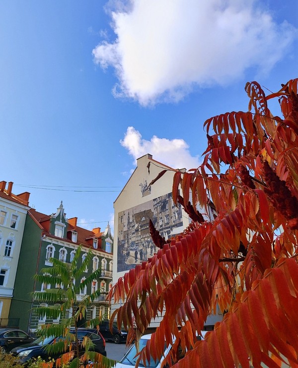 Черняховск и Гусев — шаги в историю (из Калининграда) – групповая экскурсия