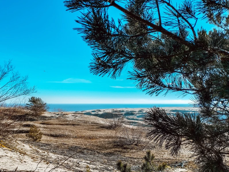 Магия Куршской косы: поющие пески и Танцующий лес – групповая экскурсия