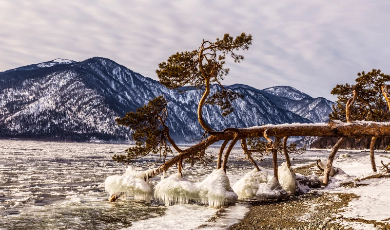 Приезжай на Алтай и катай! Горнолыжный тур на курорты «Телецкий» и «Манжерок» – авторский тур