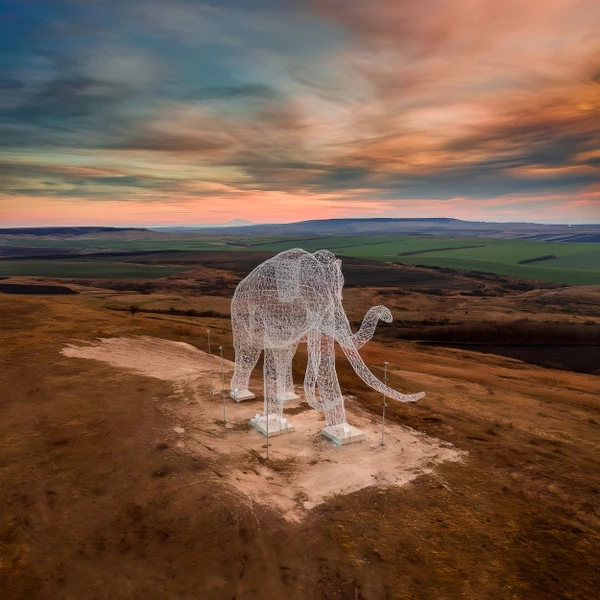 В Ставрополь — к слонам, ветрякам и живописным просторам – индивидуальная экскурсия