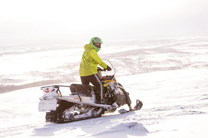 Зимнее сафари по кольской тундре – групповая экскурсия