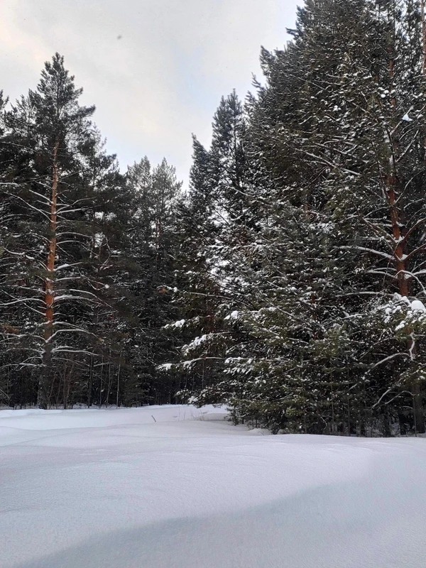 Зимнее путешествие из Новосибирска на остров Чингис – индивидуальная экскурсия