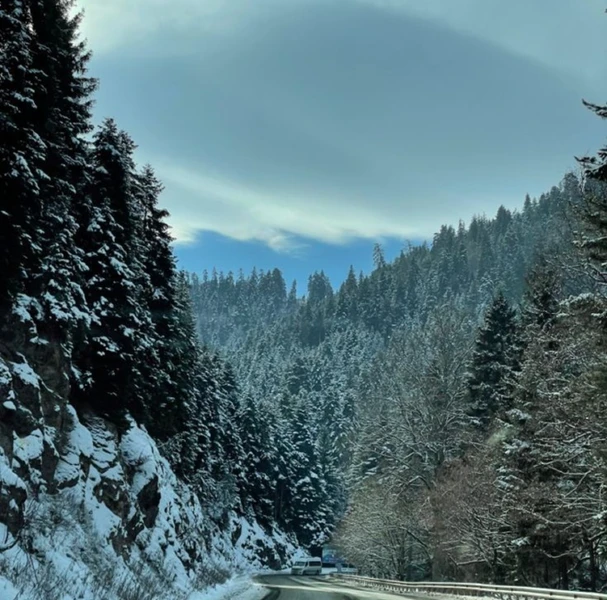 От хвойных лесов до горных вершин: Боржоми и Бакуриани – групповая экскурсия