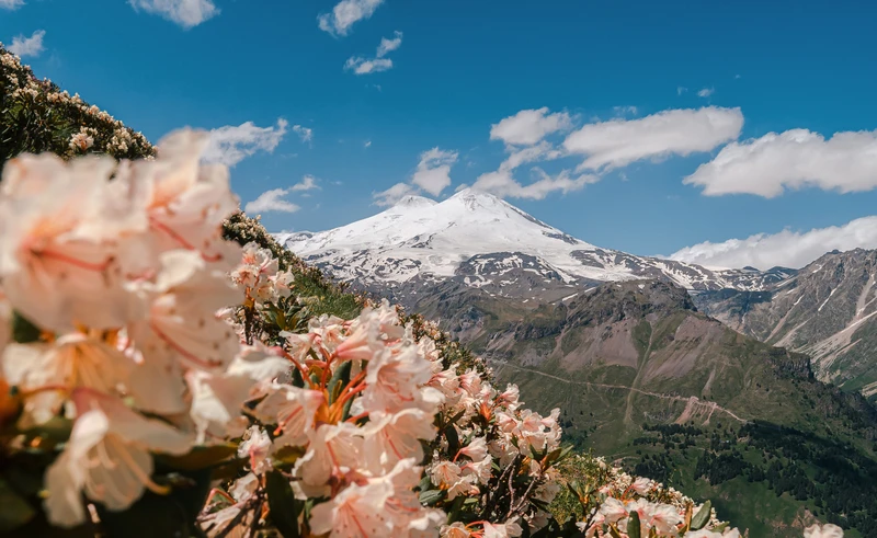 Жемчужины Кавказа: на поезде в 5 республик с национальными блюдами и этношоу – авторский тур