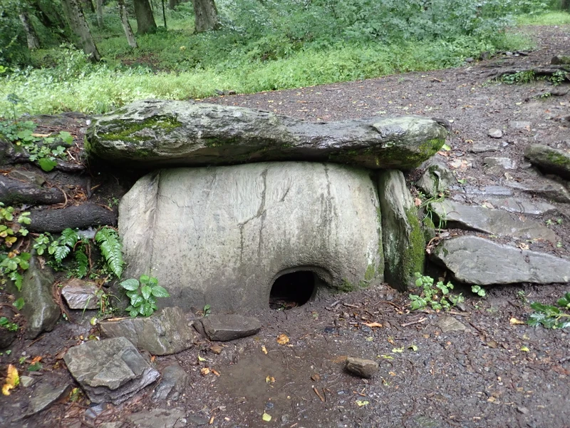 Прошлое и современность в Красной Поляне — из Сочи – индивидуальная экскурсия