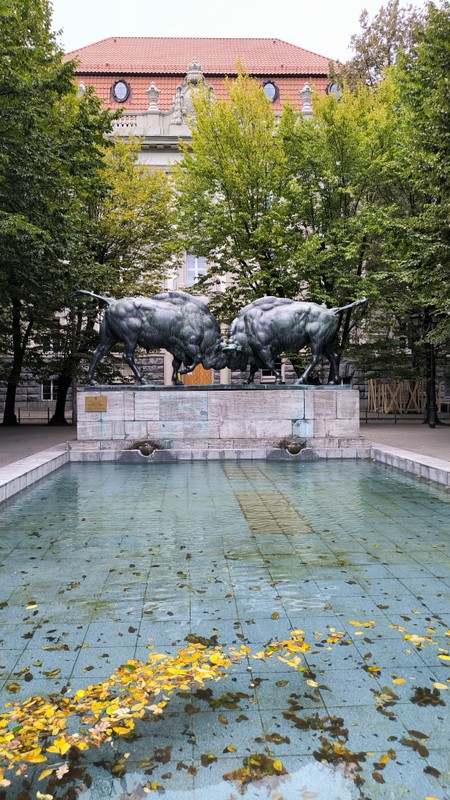 Влюбиться в Калининград – групповая экскурсия