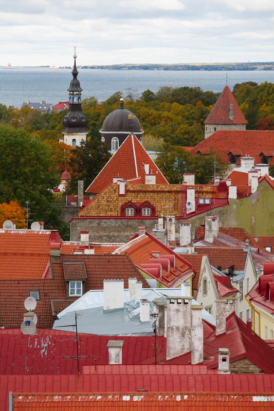 Фотопрогулка по старинному Таллину – индивидуальная экскурсия