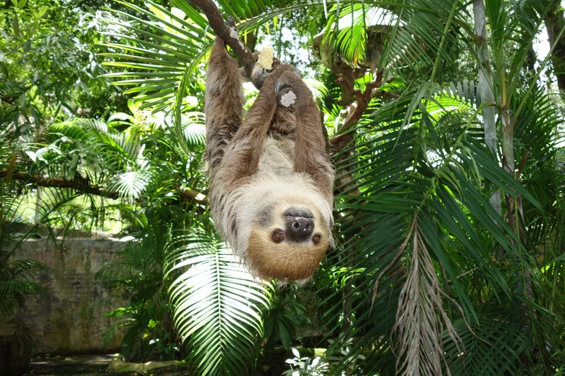 В зоопарк Кхао Кхео — из Паттайи – групповая экскурсия