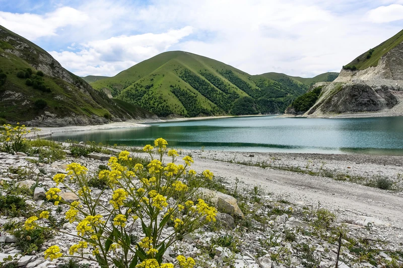 От старинных башен в горах до небоскрёбов: по Чечне с комфортом и в формате «всё включено» – авторский тур