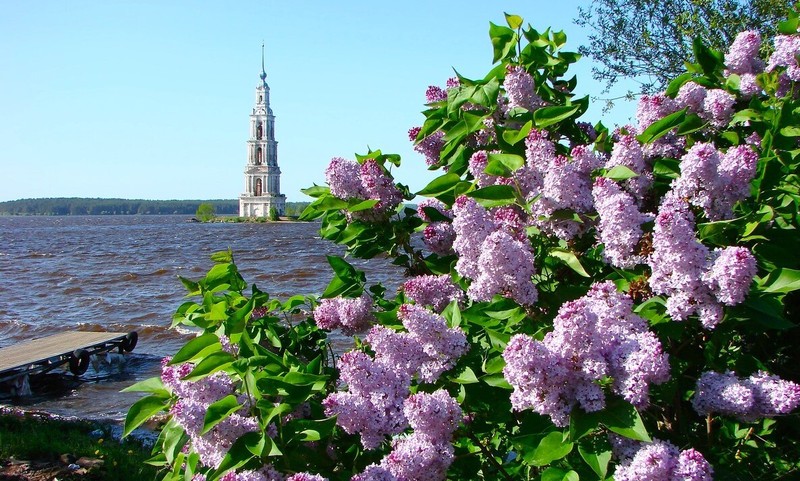 5 древних городов на берегах могучей Волги: автобусный тур из Москвы – авторский тур