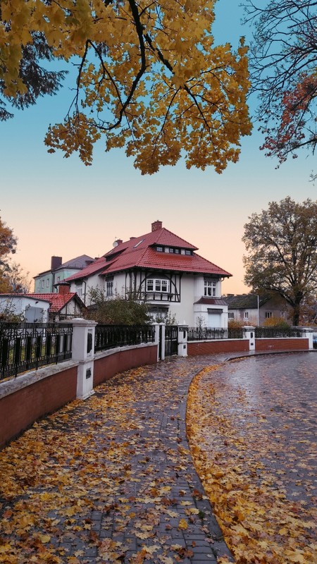 Из аэропорта — в Калининград и Зеленоградск: экскурсия-трансфер