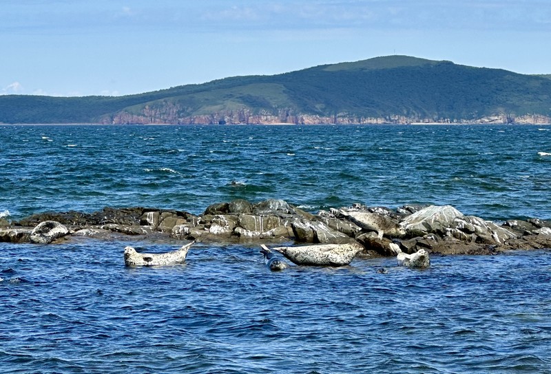 Релакс-путешествие по островам Японского моря — с гастрономической паузой – групповая экскурсия