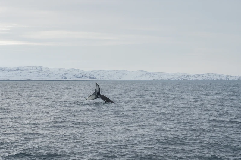 Все северные удовольствия в одном туре: на Кольский полуостров в мини-группе – авторский тур