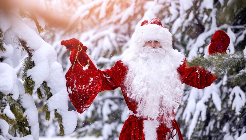 Величие Севера: из Москвы на поезде в Карелию, Архангельскую и Вологодскую области – авторский тур