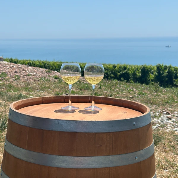 От секретного терруара к винной короне: «Криница» и «Шато Де Талю» из Геленджика – индивидуальная экскурсия