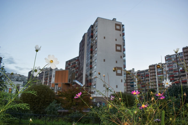 Кудрово: город цветных гигантов через дорогу от Петербурга – индивидуальная экскурсия