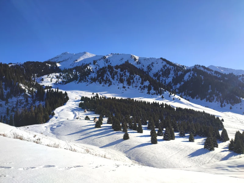 Треккинг к горному пастбищу Кок-Жайлау и водопаду Батарейка – индивидуальная экскурсия
