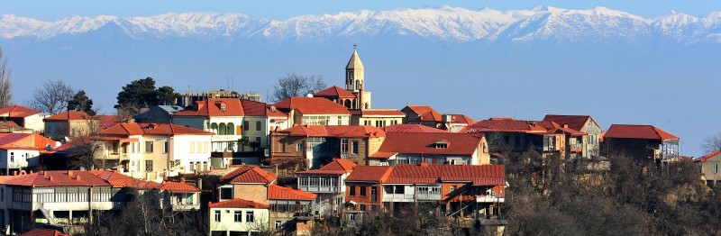 В Кахетию — край виноградной лозы! – индивидуальная экскурсия