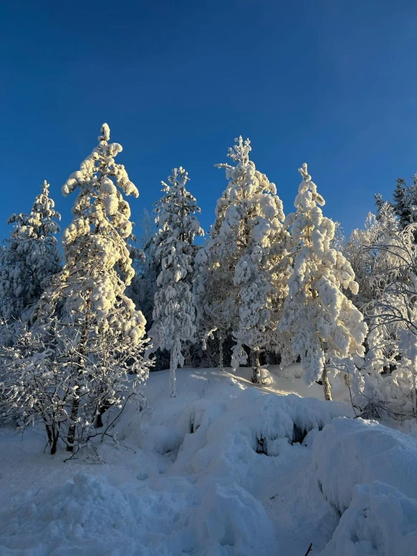 Горный парк «Рускеала» и висячие мосты водопадов Ахинкоски – индивидуальная экскурсия