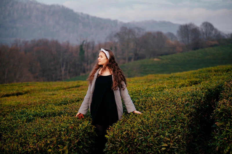 К Змейковским водопадам и чайной плантации с фотосетом на камерофон Vivo X200 – индивидуальная экскурсия