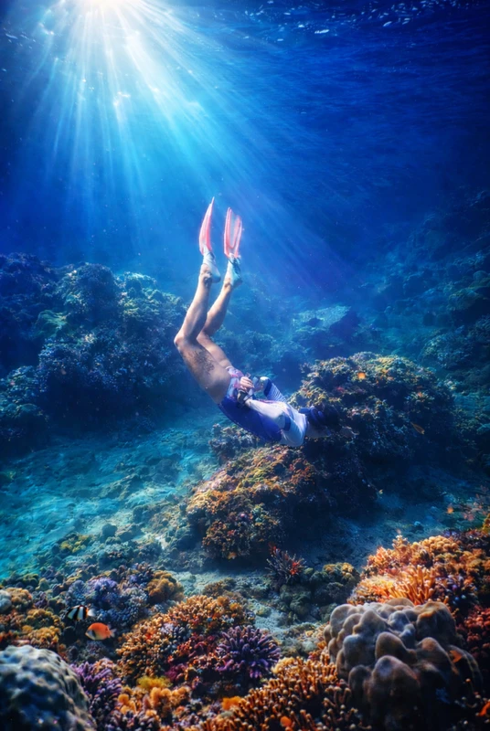 Снорклинг в морском заповеднике острова Мун (из Нячанга) – групповая экскурсия