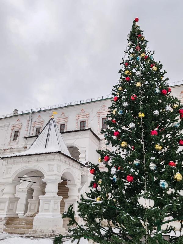 Рязань — новогодняя столица России – групповая экскурсия