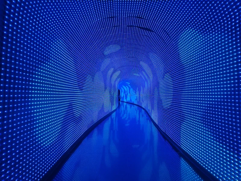 Парк «Краснодар» и «Парк облаков» — пространства фантазии – индивидуальная экскурсия