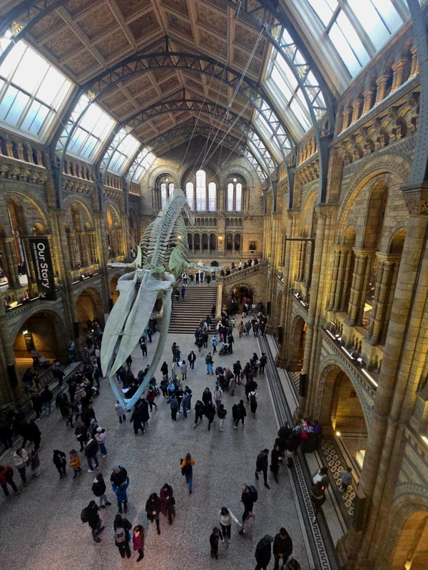 Тайная жизнь минералов: по залам Музея естественной истории в Лондоне – индивидуальная экскурсия