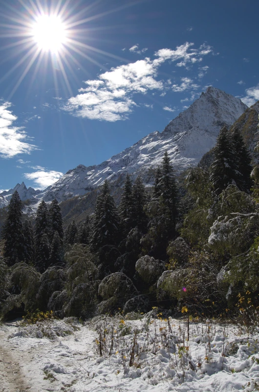 Заповедный Домбай: когда главное уже посмотрели – индивидуальная экскурсия