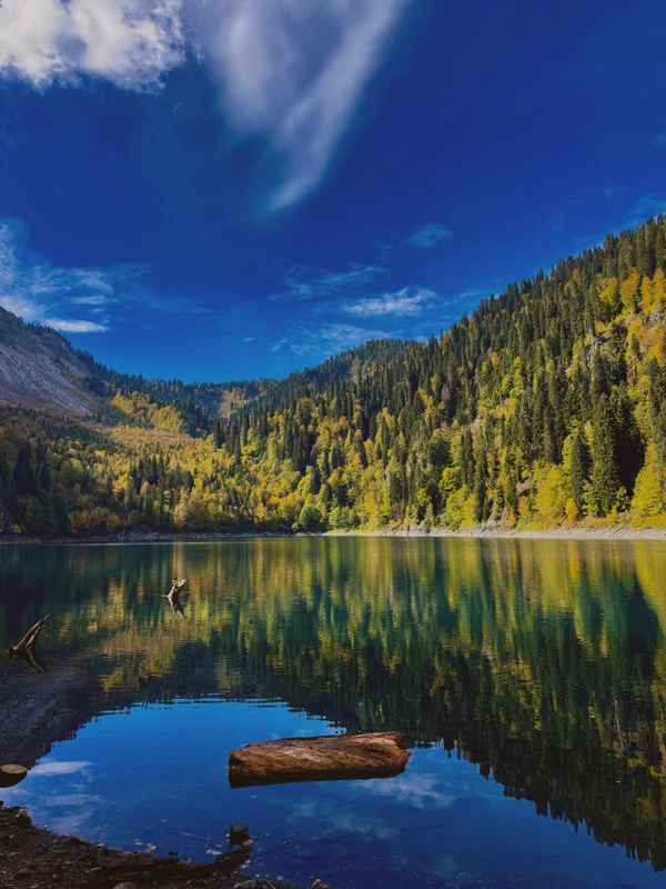 Из Гагры на озеро Рица + цитрусовые сады – индивидуальная экскурсия