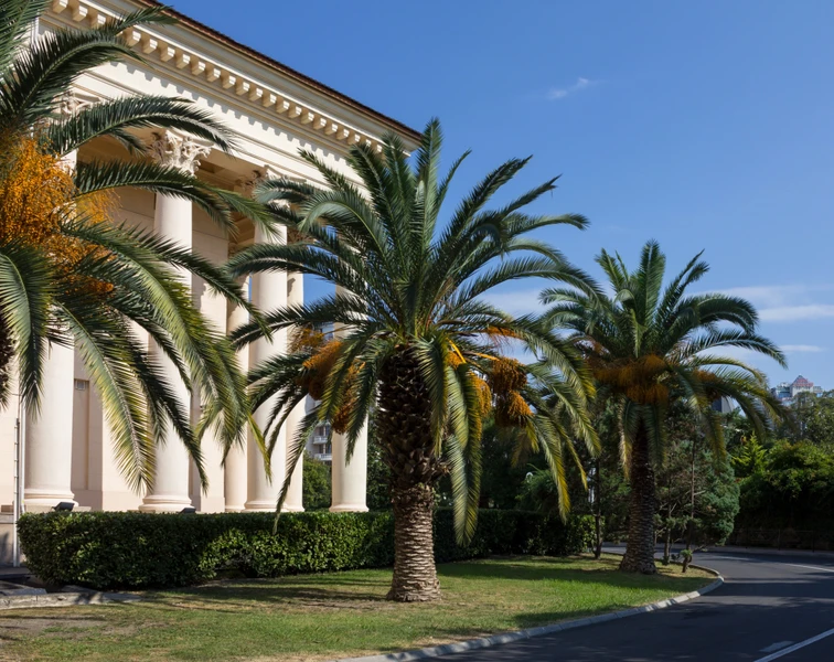 Город-сказка Сочи – индивидуальная экскурсия