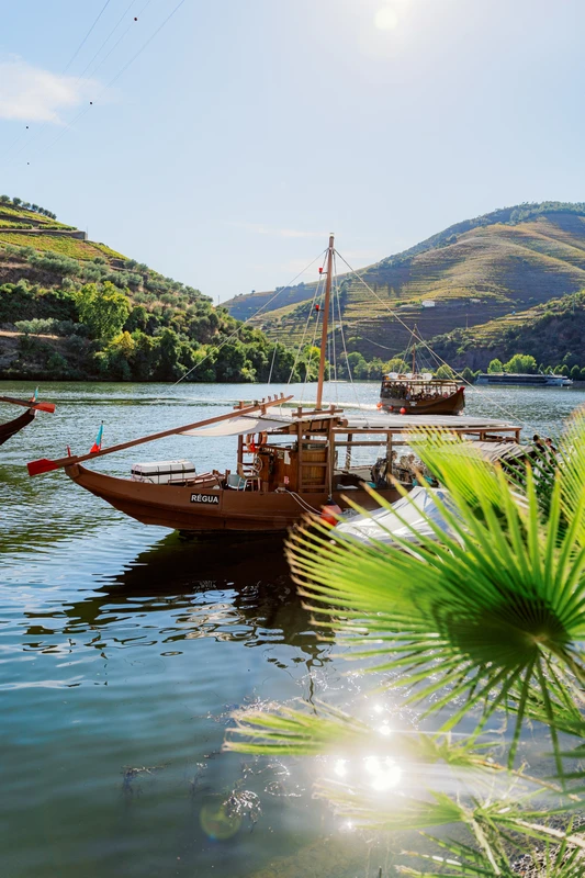 «Не портвейном единым»: по долине реки Дору в компании сомелье – индивидуальная экскурсия