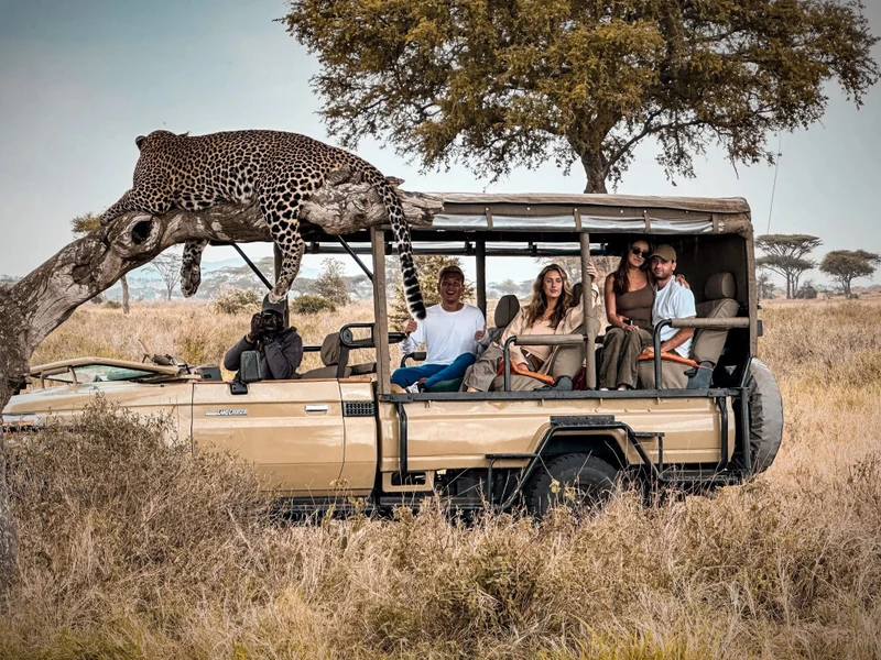 Сафари в национальном парке Руаха в Танзании — из Занзибара – индивидуальная экскурсия